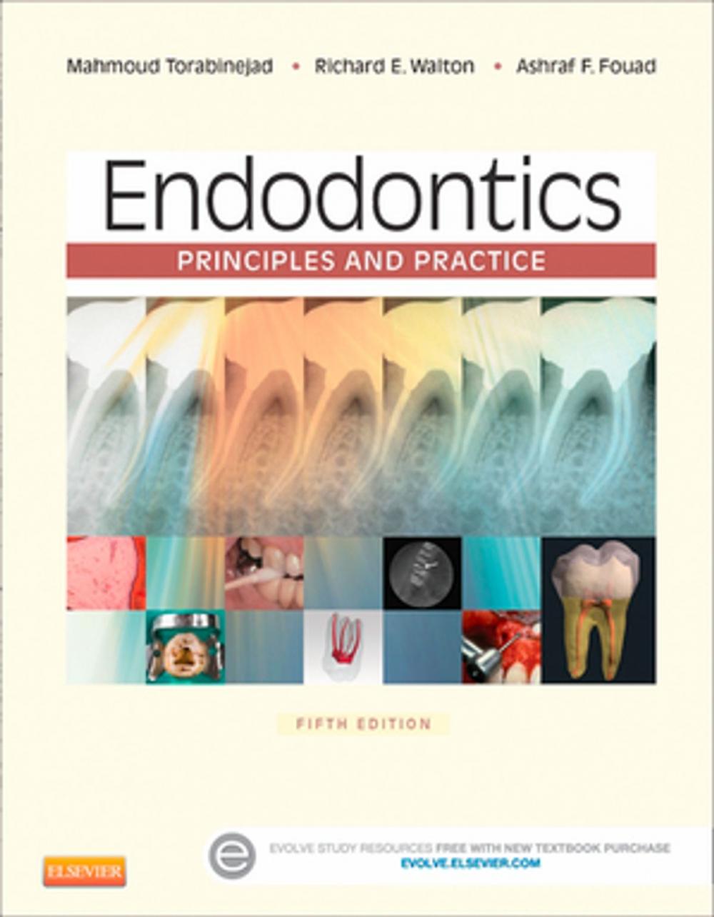 Big bigCover of Endodontics - E-Book