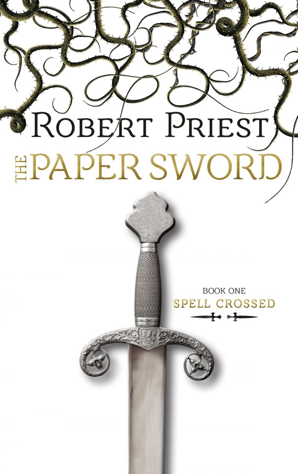 Big bigCover of The Paper Sword