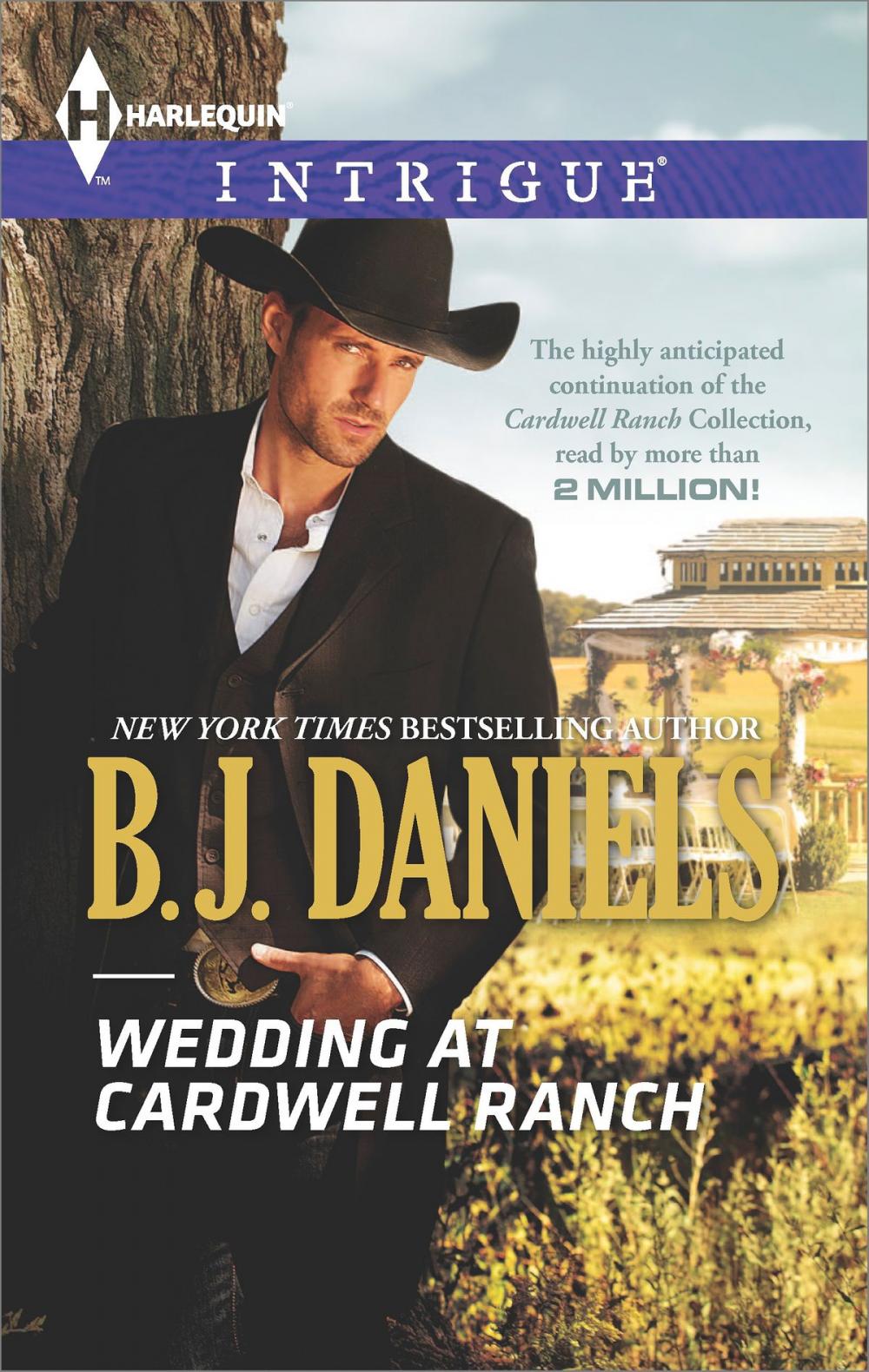 Big bigCover of Wedding at Cardwell Ranch