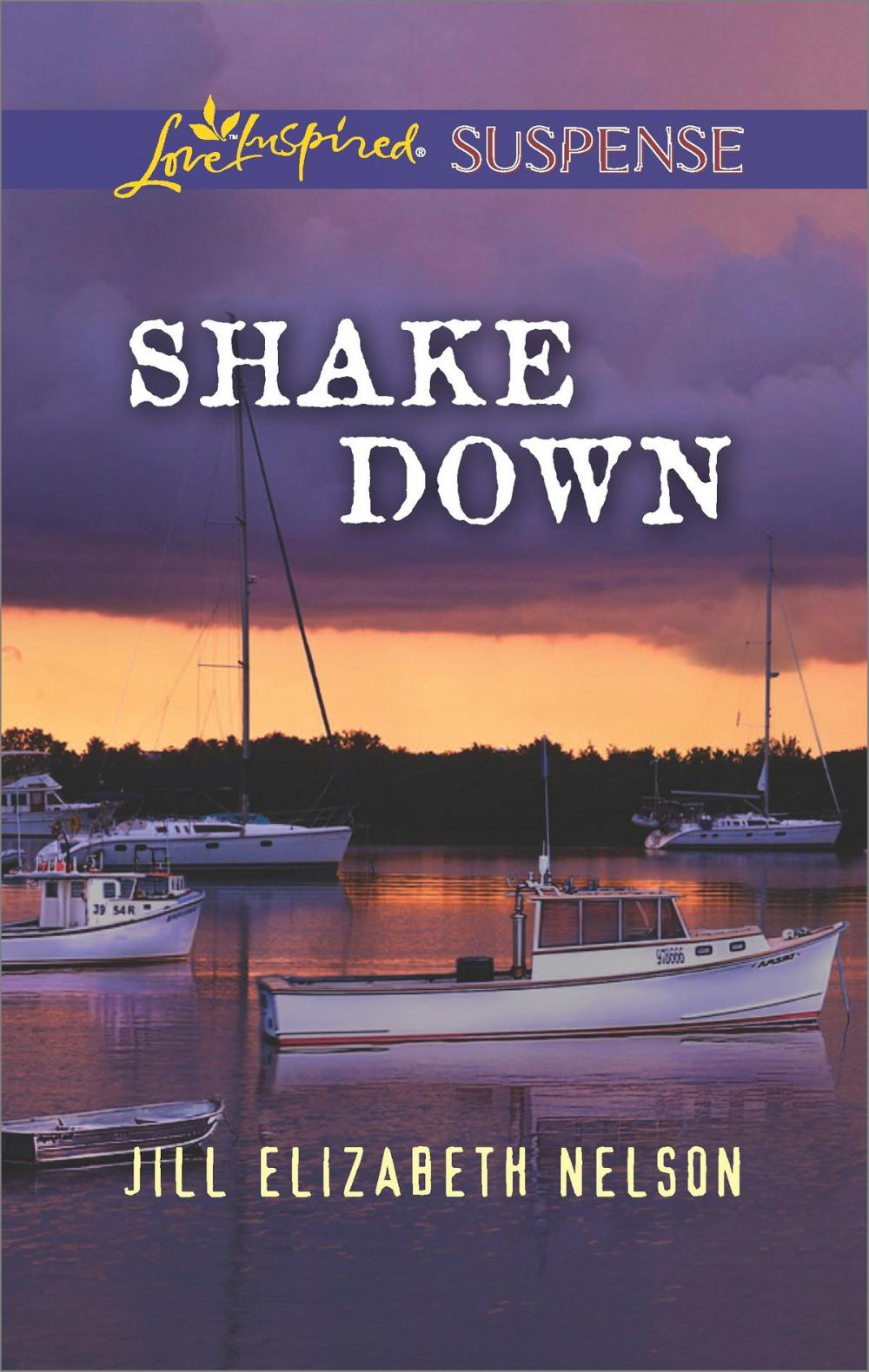 Big bigCover of Shake Down