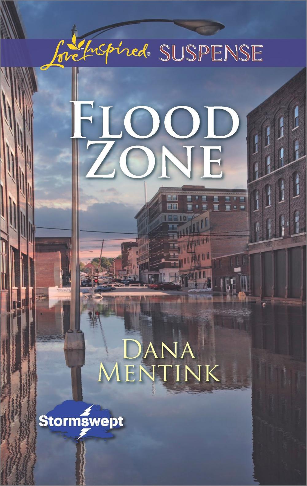 Big bigCover of Flood Zone