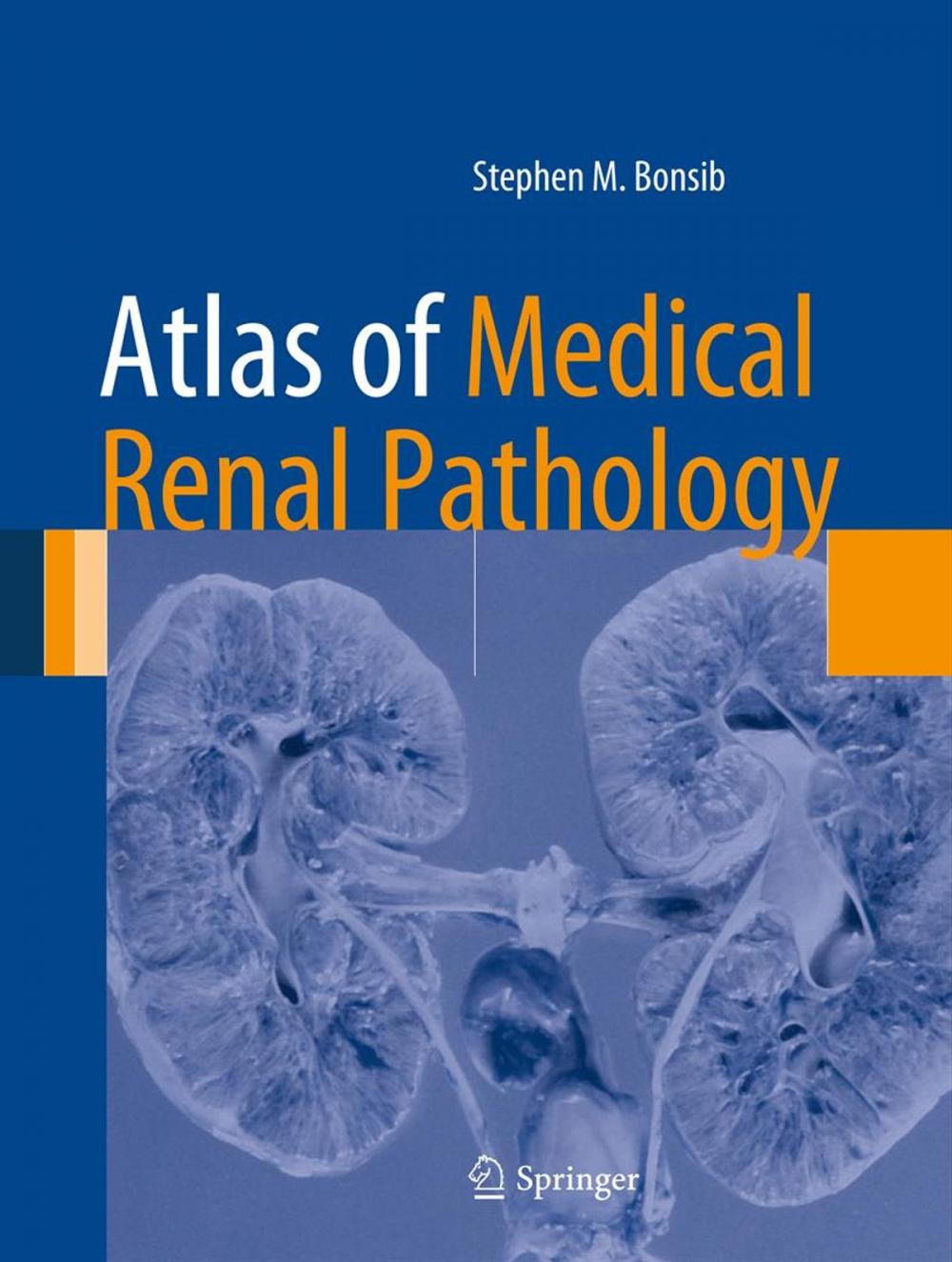 Big bigCover of Atlas of Medical Renal Pathology