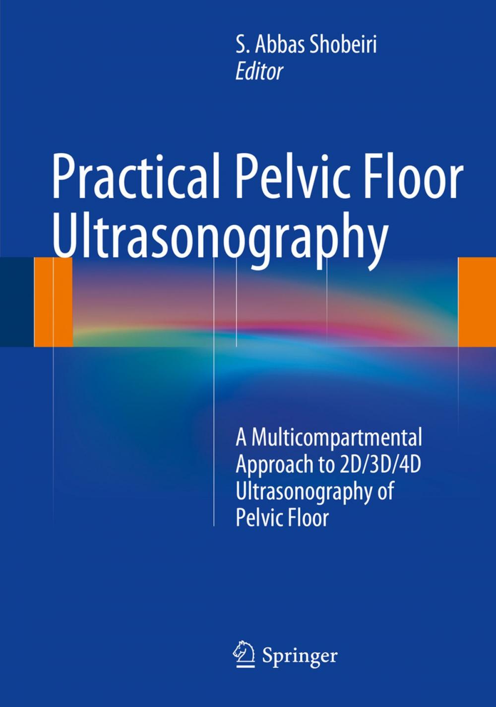 Big bigCover of Practical Pelvic Floor Ultrasonography