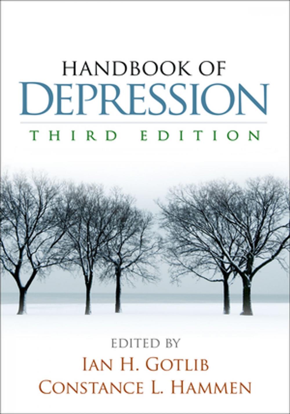 Big bigCover of Handbook of Depression, Third Edition