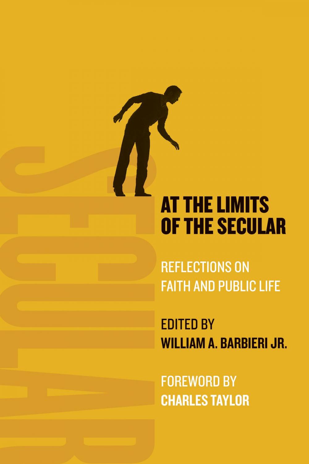 Big bigCover of At the Limits of the Secular