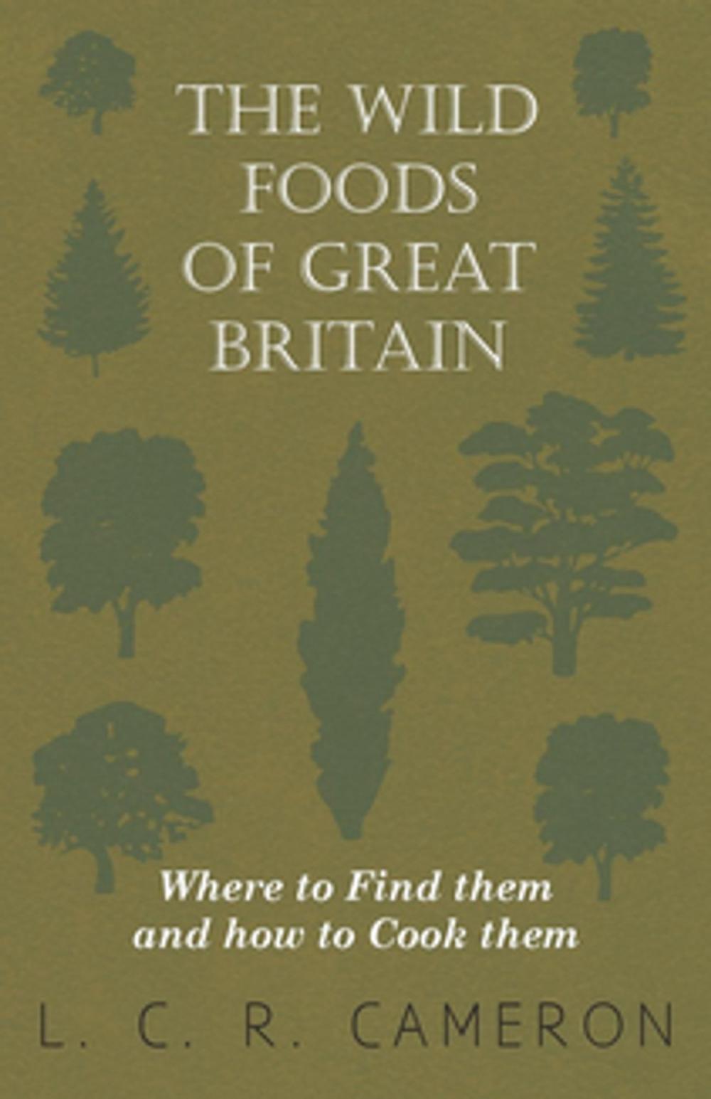 Big bigCover of The Wild Foods of Great Britain - Where to Find them and how to Cook them