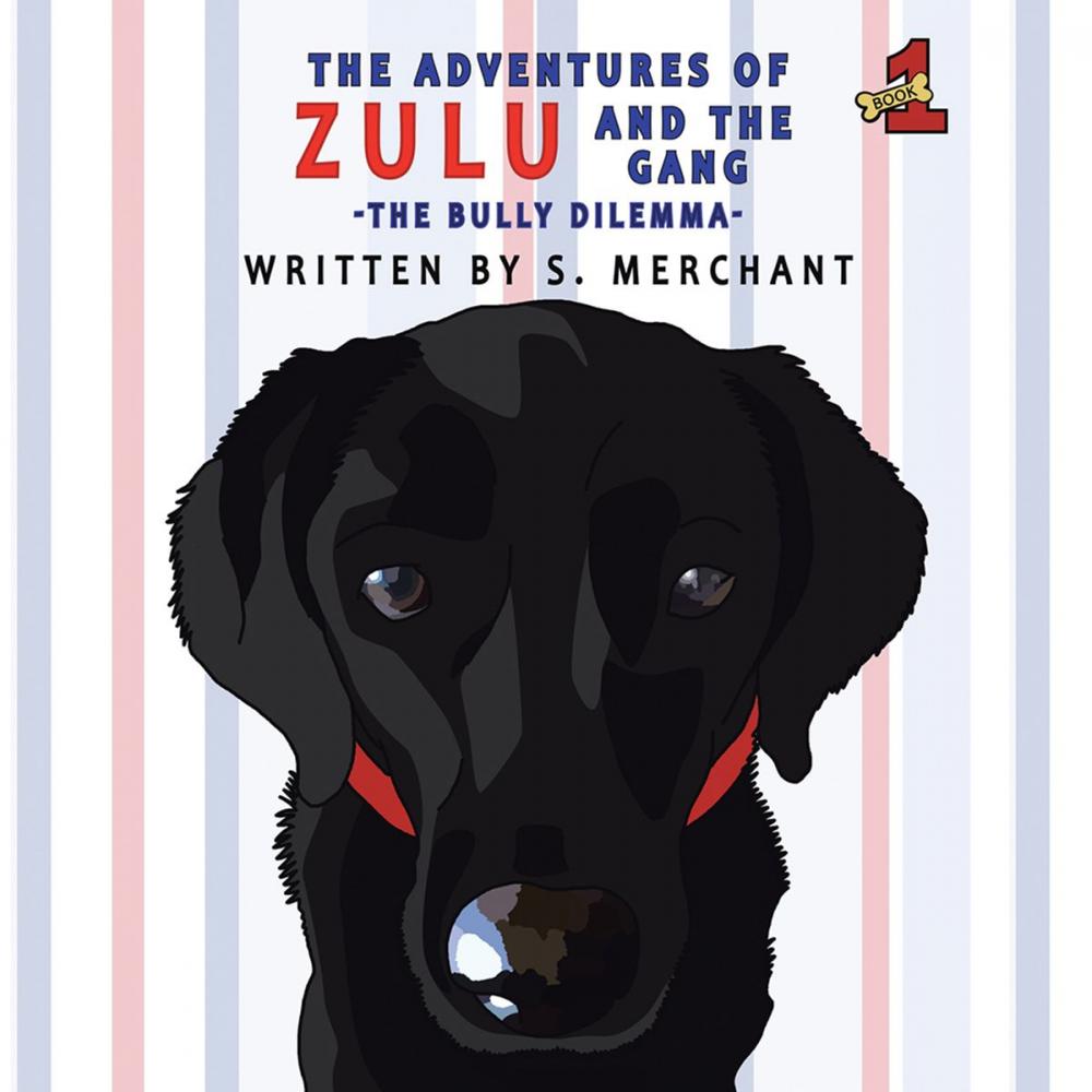 Big bigCover of The Adventures of Zulu & the Gang