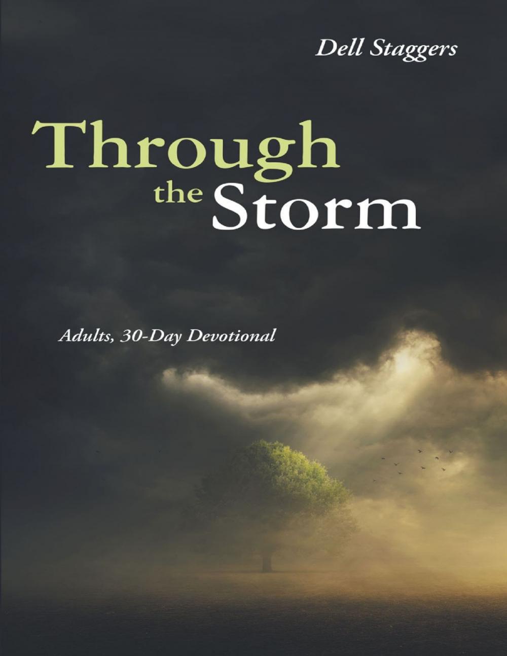 Big bigCover of Through the Storm: Adults, 30 Day Devotional