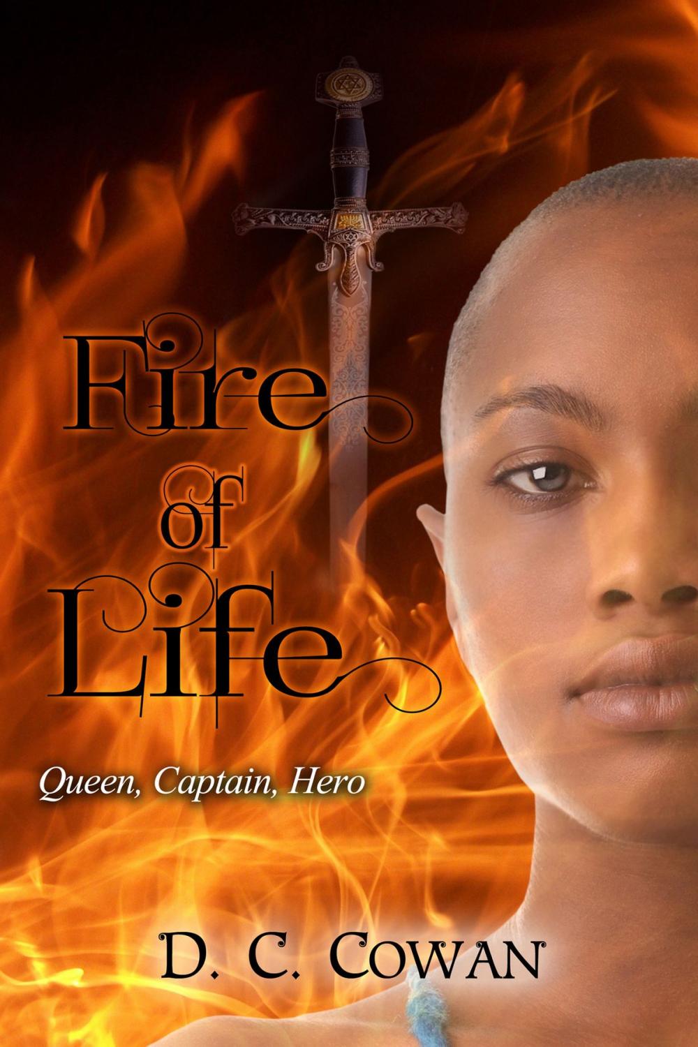 Big bigCover of Fire of Life