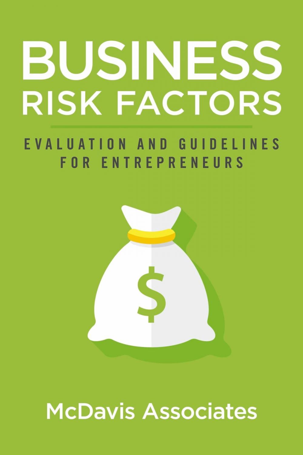 Big bigCover of Business Risk Factors: Evaluation and Guidelines for Entrepreneurs