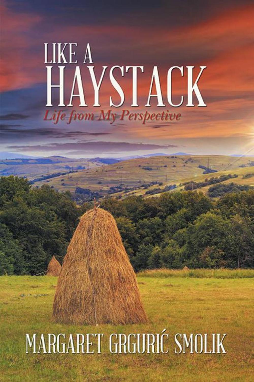 Big bigCover of Like a Haystack