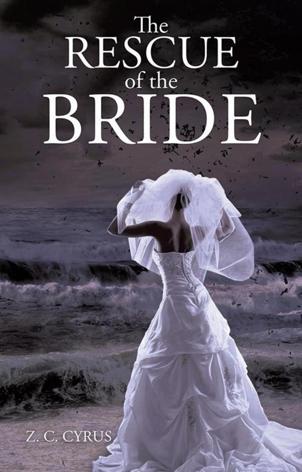 Big bigCover of The Rescue of the Bride