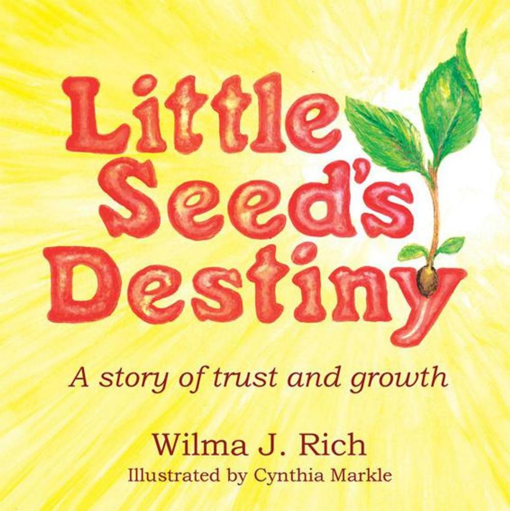 Big bigCover of Little Seed's Destiny