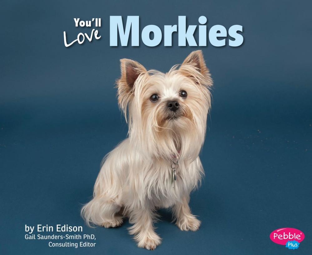 Big bigCover of You'll Love Morkies