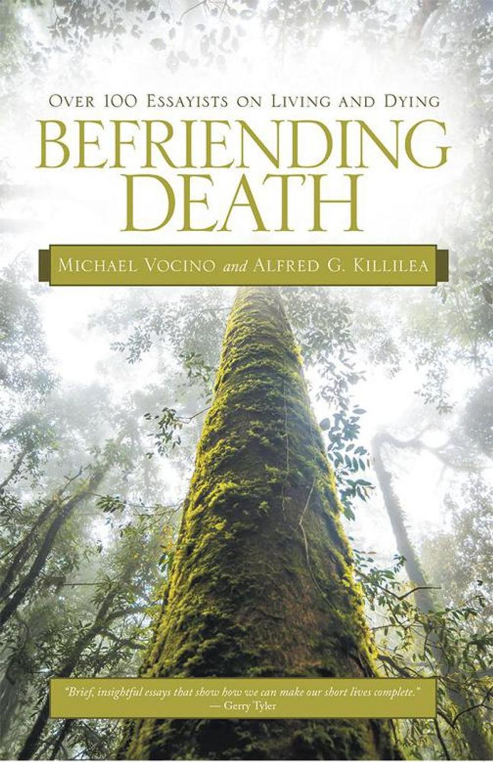 Big bigCover of Befriending Death