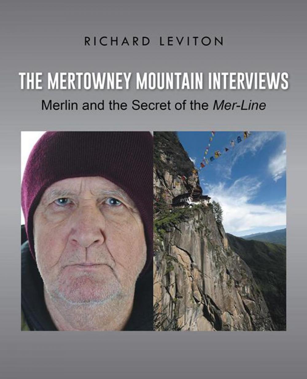 Big bigCover of The Mertowney Mountain Interviews