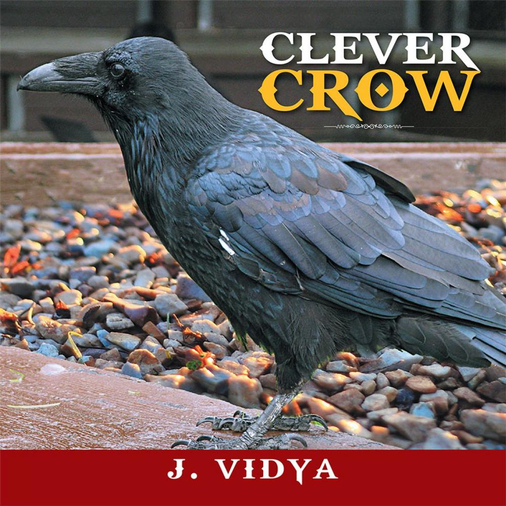 Big bigCover of Clever Crow