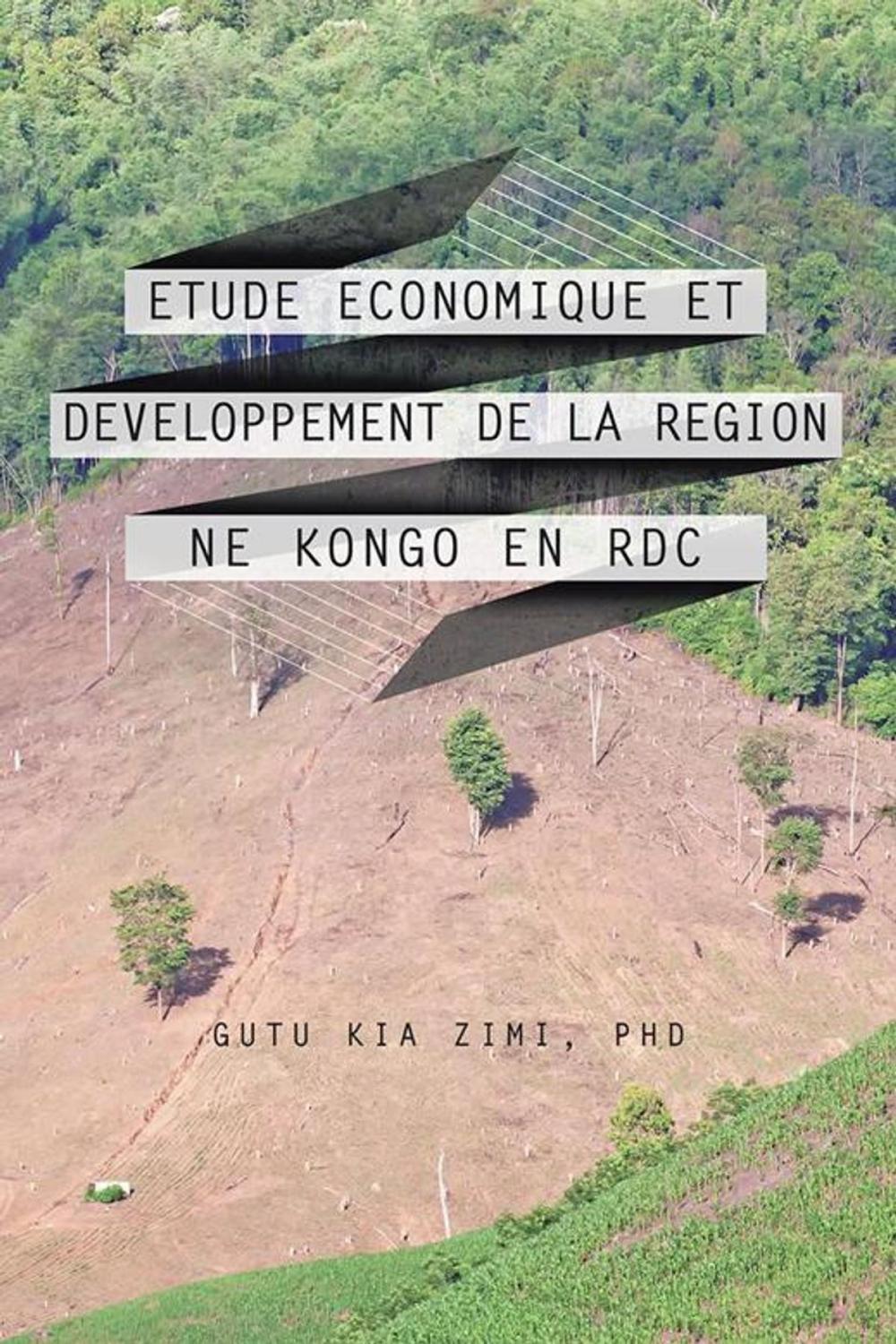 Big bigCover of Etude Economique Et Developpement De La Region Ne Kongo En Rdc