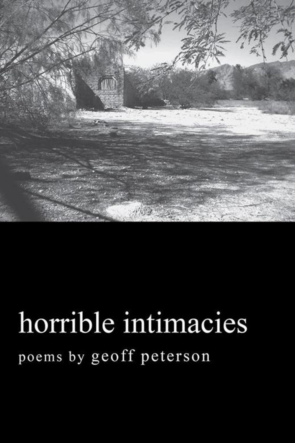 Big bigCover of Horrible Intimacies