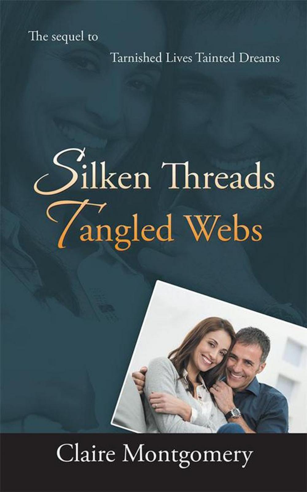 Big bigCover of Silken Threads Tangled Webs