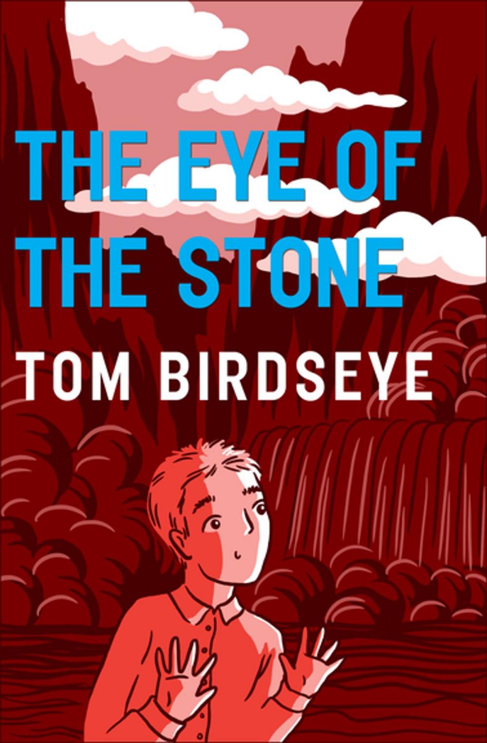 Big bigCover of The Eye of the Stone