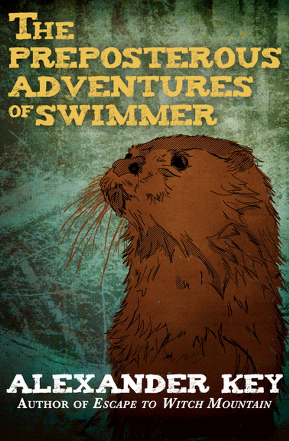 Big bigCover of The Preposterous Adventures of Swimmer