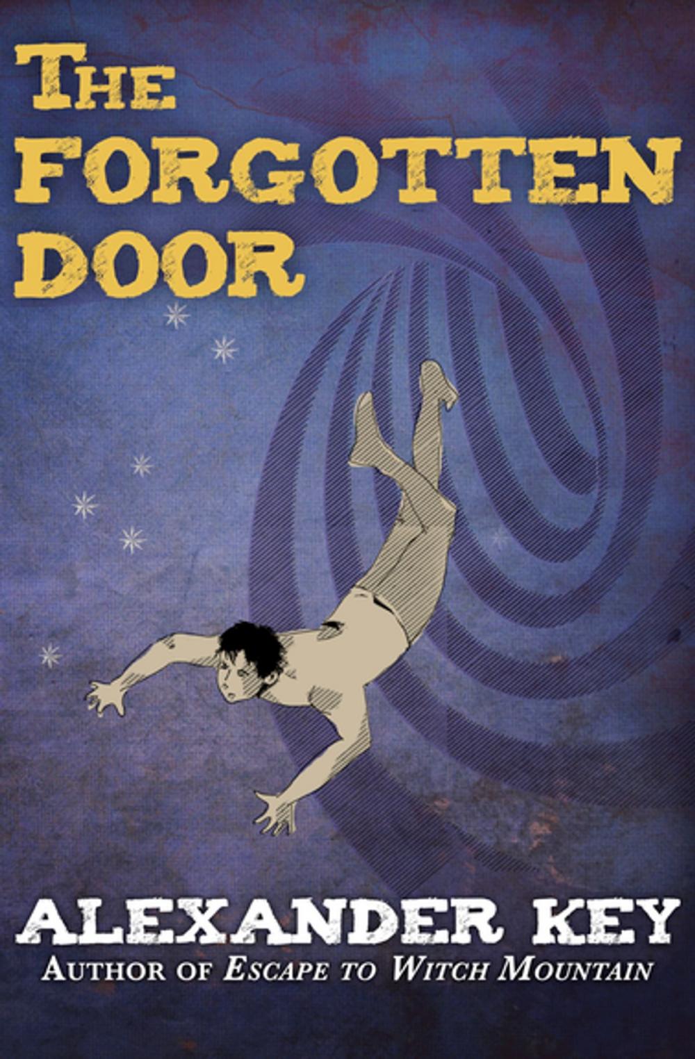 Big bigCover of The Forgotten Door