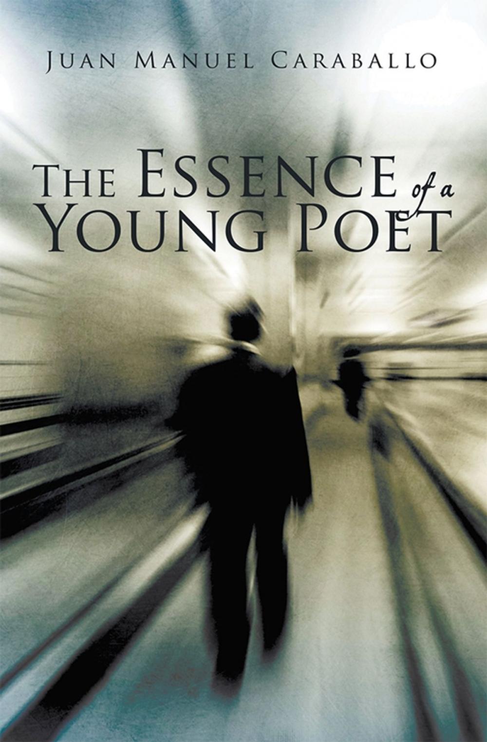 Big bigCover of The Essence of a Young Poet