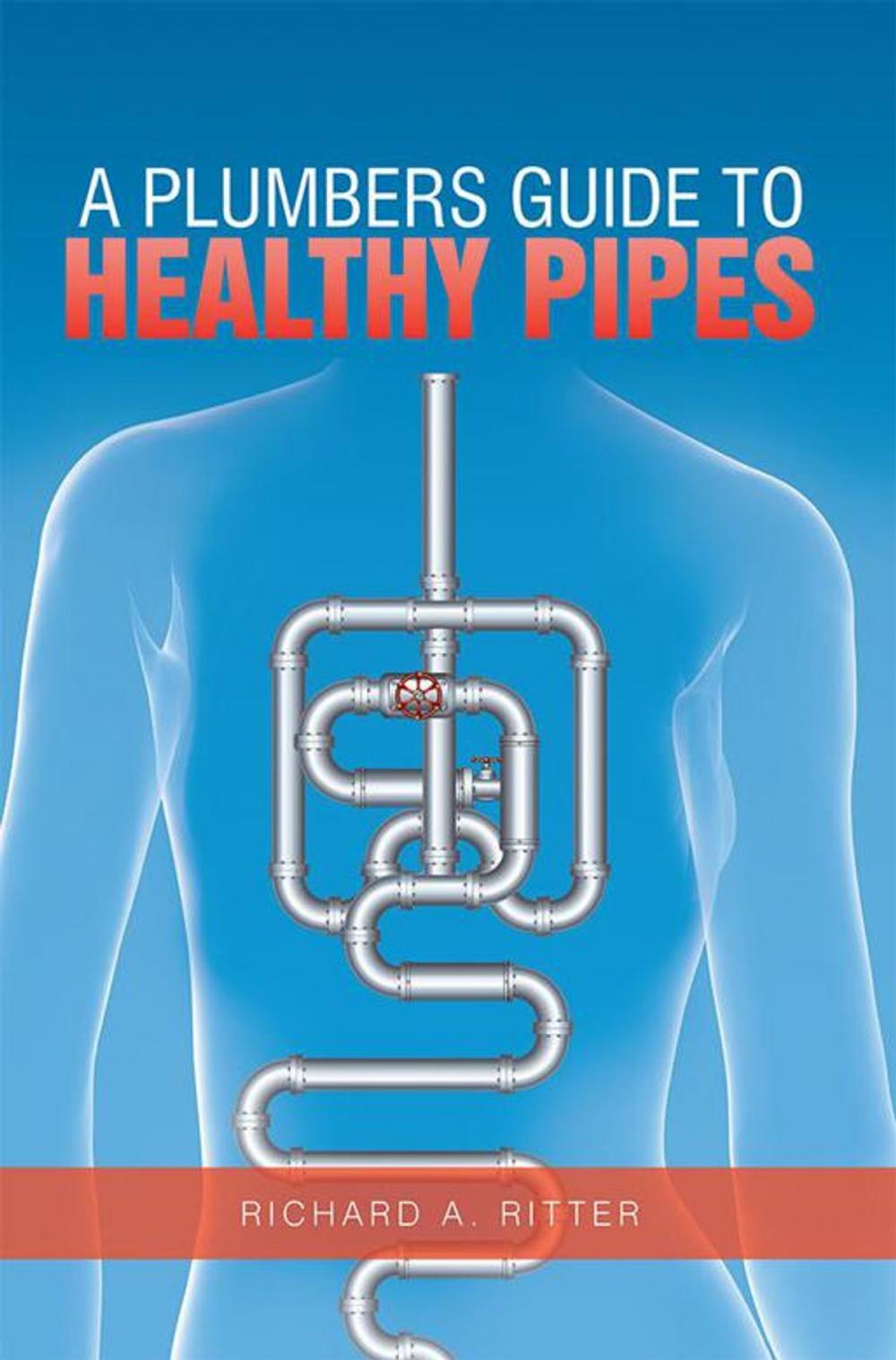 Big bigCover of A Plumbers Guide to Healthy Pipes