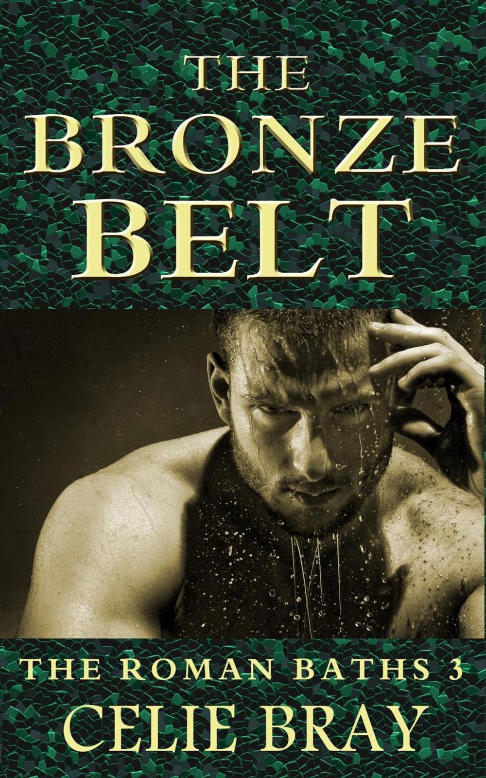 Big bigCover of The Bronze Belt