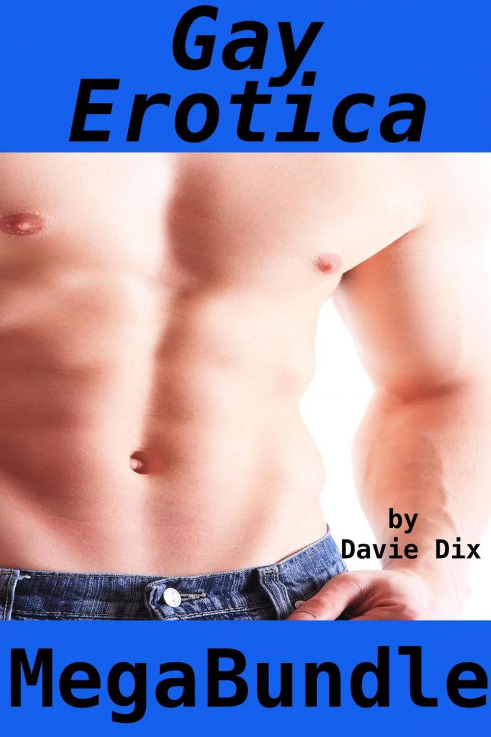 Big bigCover of Gay Erotica Mega Bundle