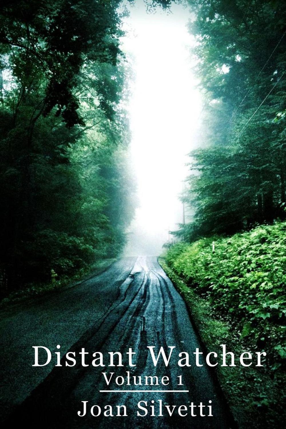 Big bigCover of Distant Watcher - Volume 1