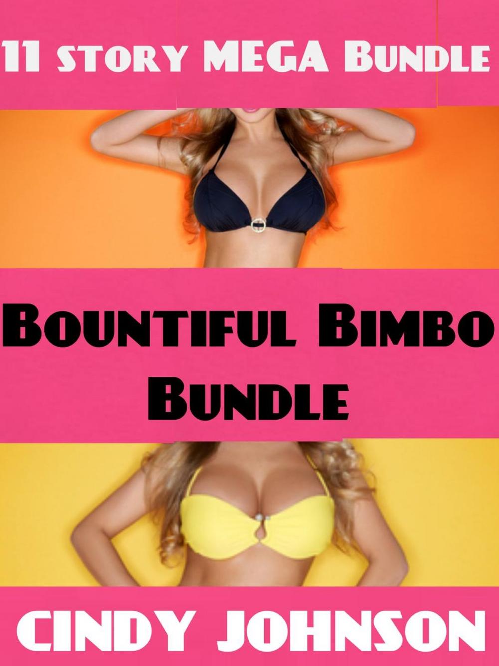 Big bigCover of Bountiful Bimbo Bundle