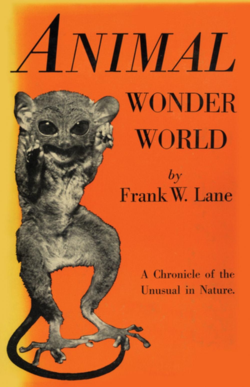 Big bigCover of Animal Wonder World