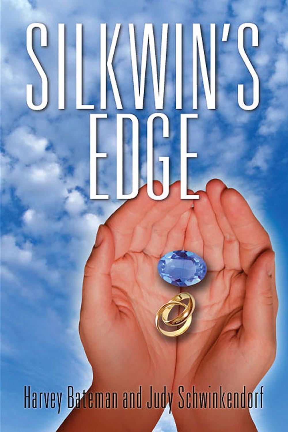 Big bigCover of Silkwin's Edge