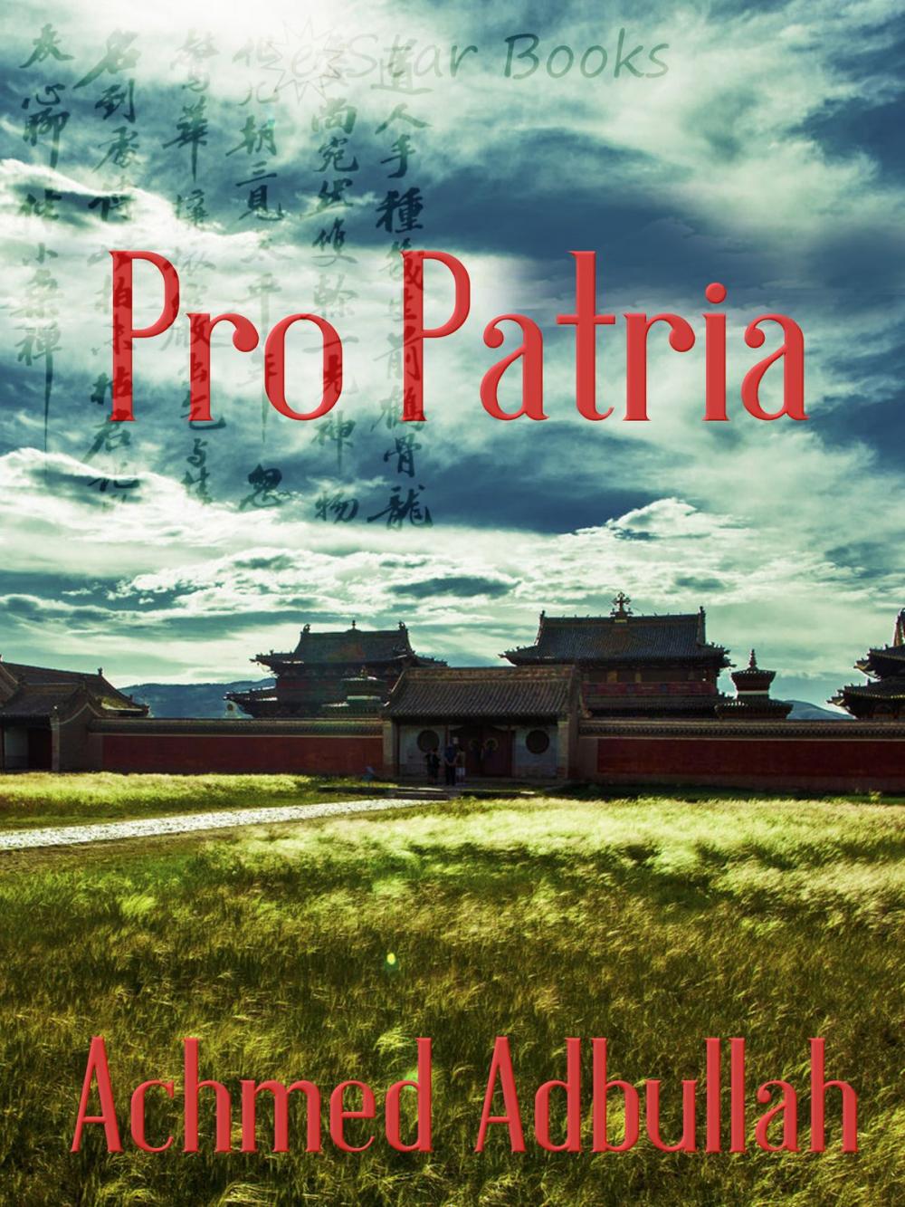 Big bigCover of Pro Patria