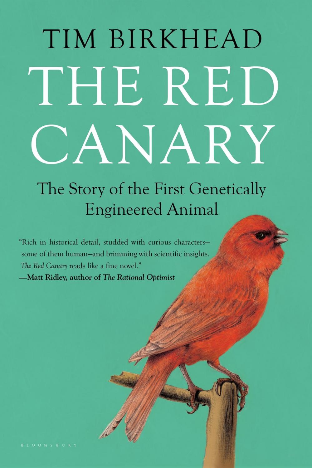 Big bigCover of The Red Canary