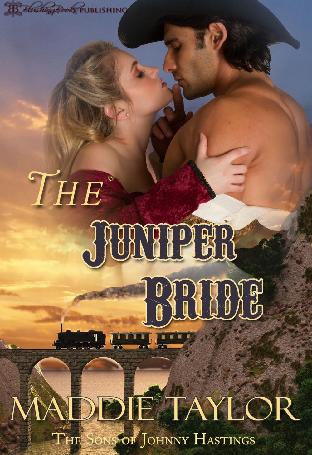 Big bigCover of The Juniper Bride