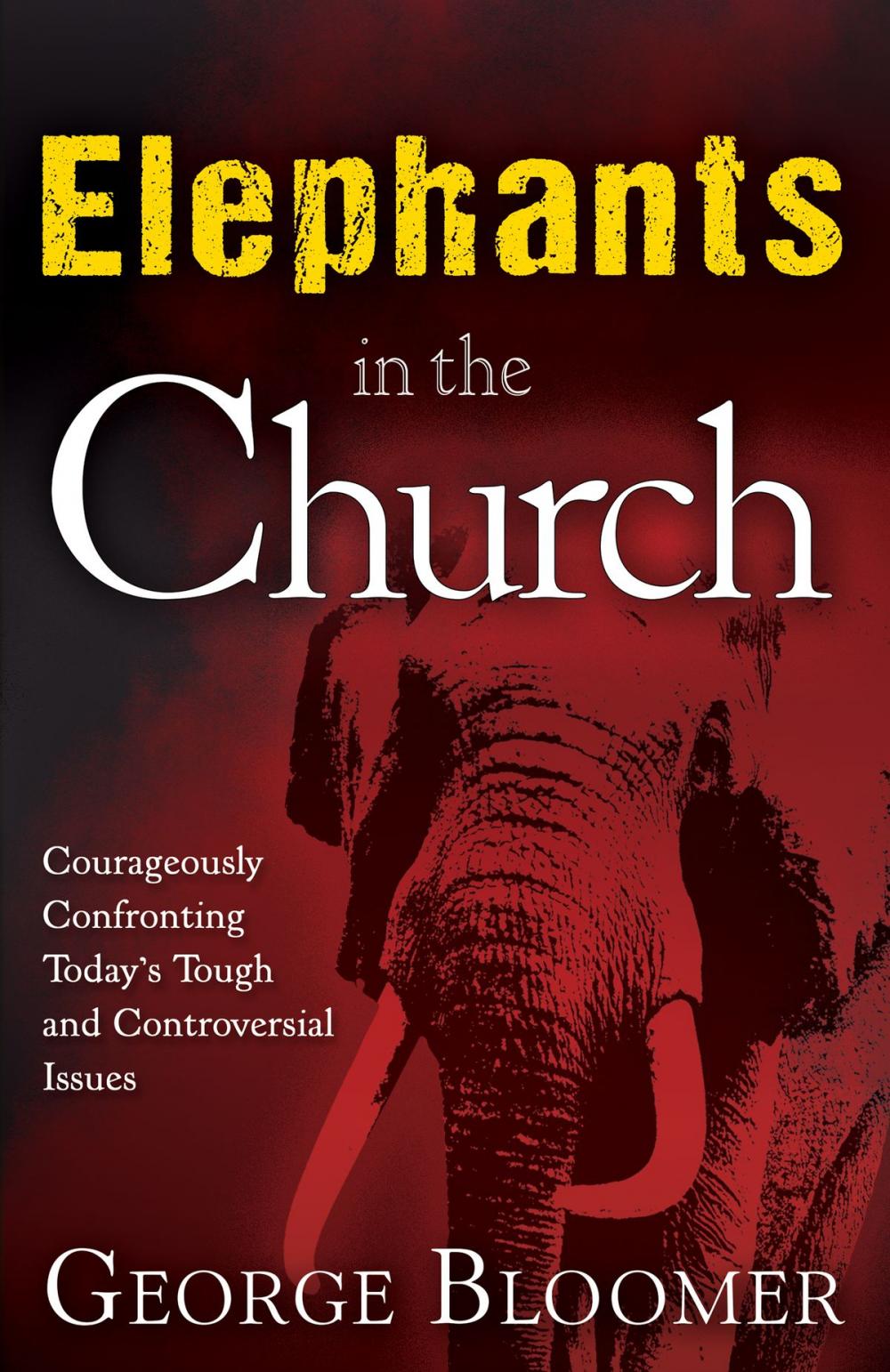 Big bigCover of Elephants in the Church