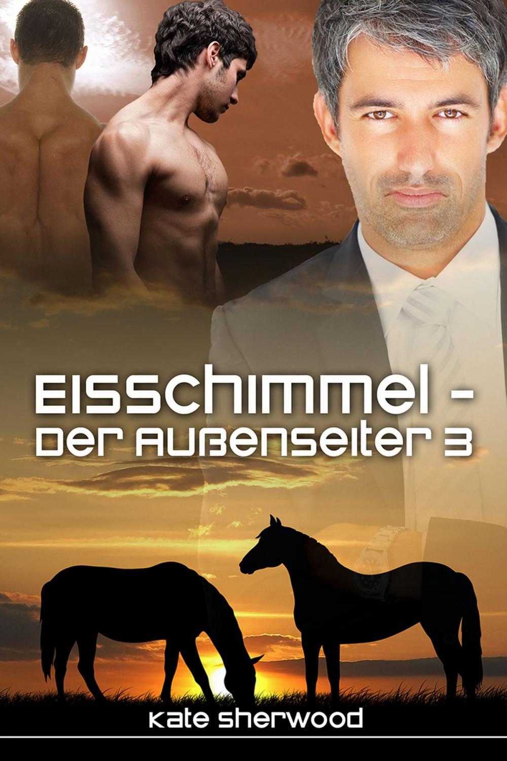 Big bigCover of Eisschimmel - Der Außenseiter 3