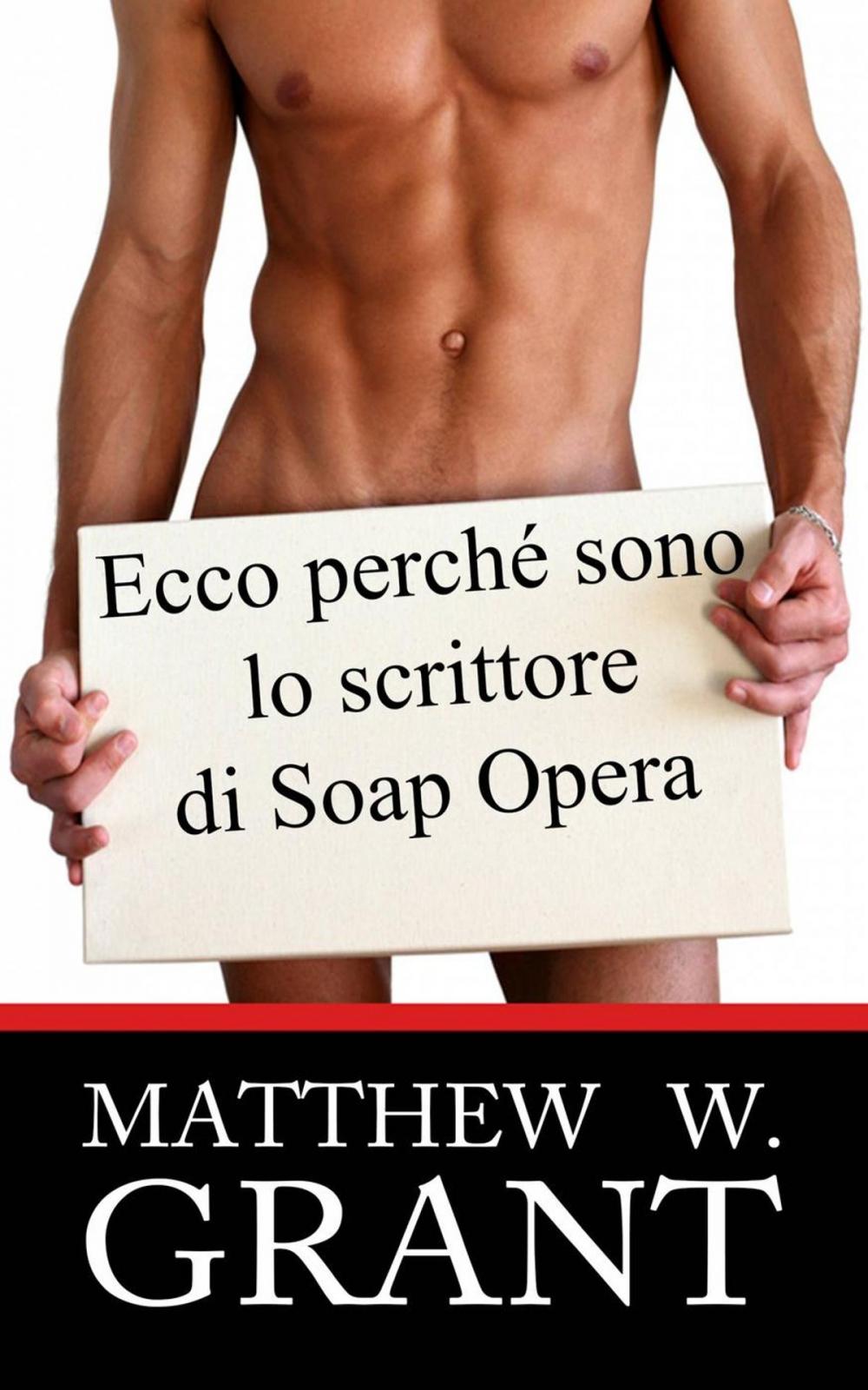 Big bigCover of Ecco perchè sono lo scrittore di Soap Opera