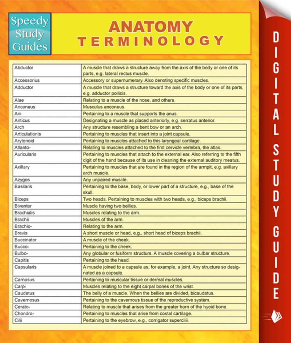 Big bigCover of Anatomy Terminology