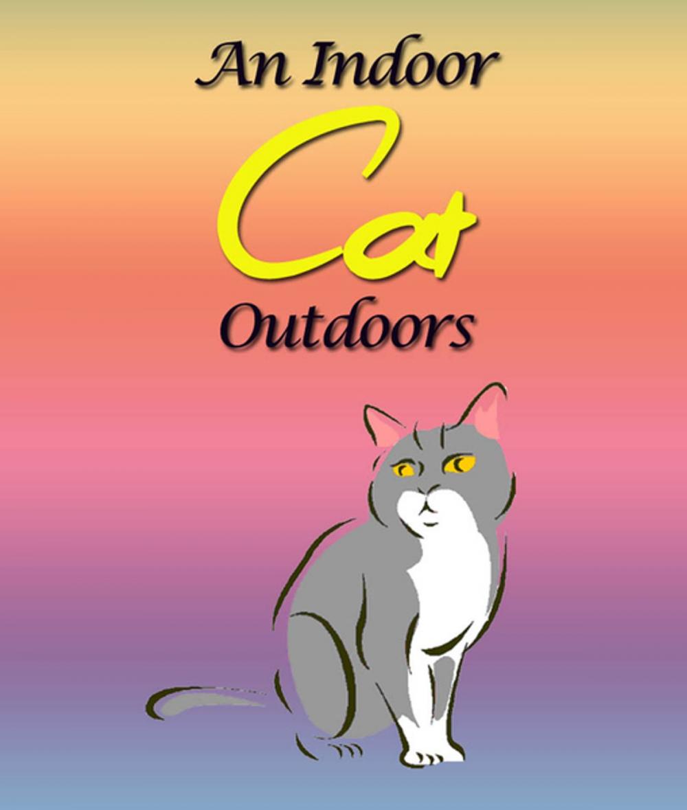 Big bigCover of An Indoor Cat Outdoors