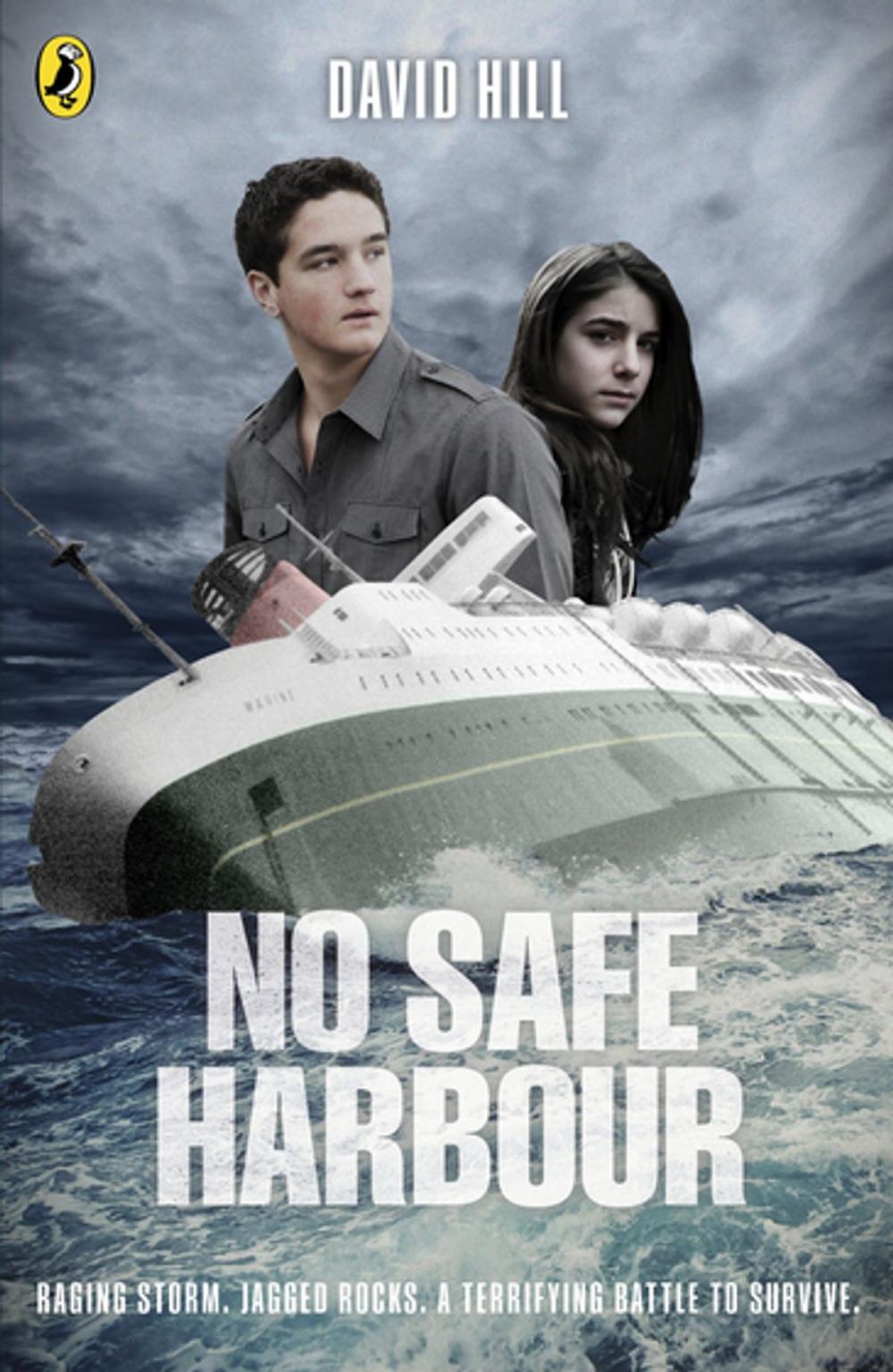 Big bigCover of No Safe Harbour