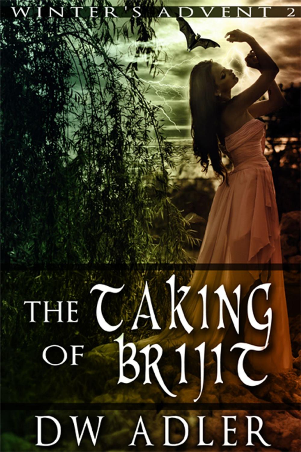 Big bigCover of The Taking of Brijit