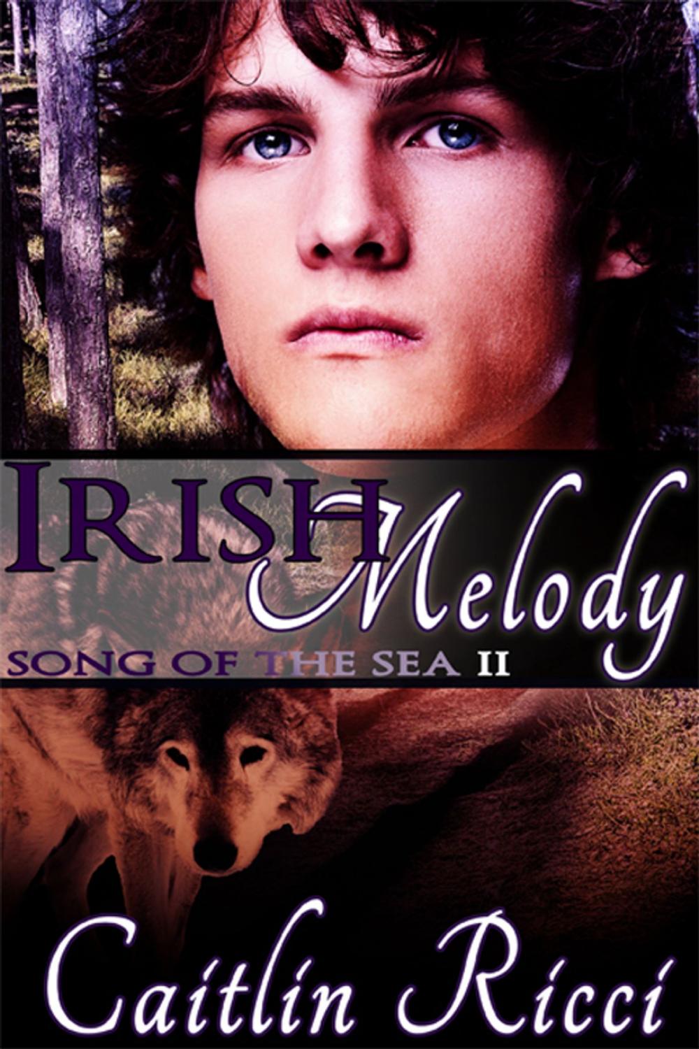 Big bigCover of Irish Melody