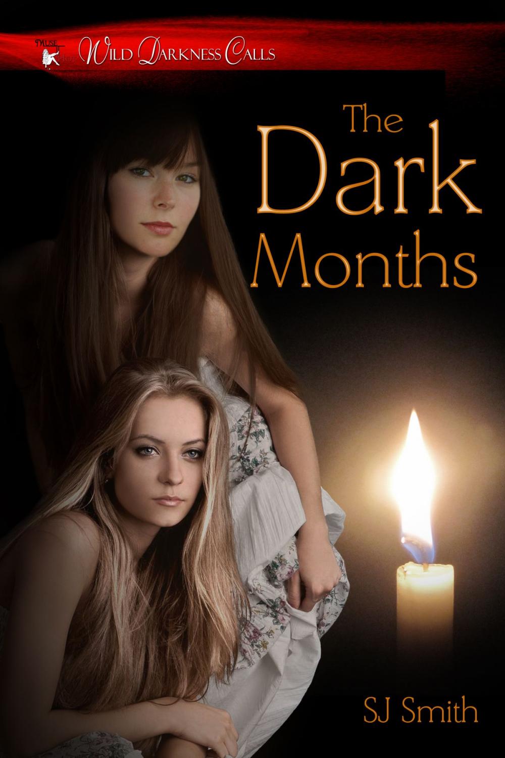 Big bigCover of The Dark Months