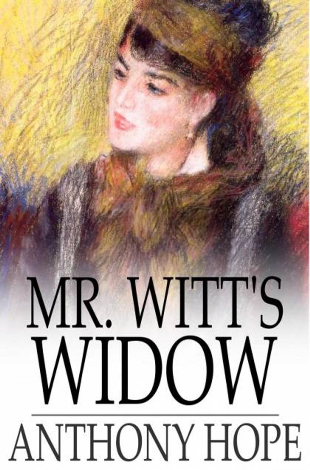 Big bigCover of Mr. Witt's Widow