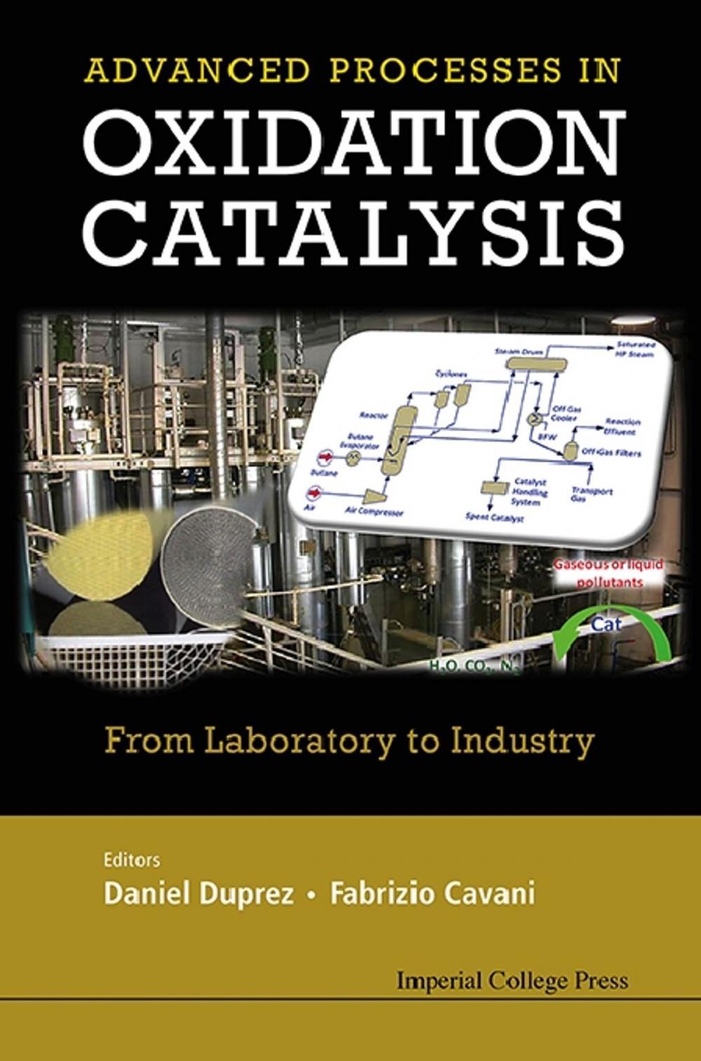 Big bigCover of Handbook of Advanced Methods and Processes in Oxidation Catalysis