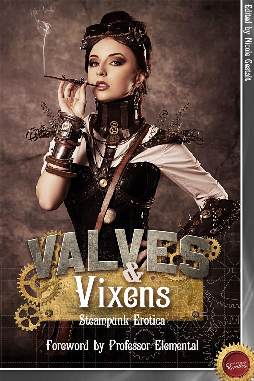 Big bigCover of Valves & Vixens